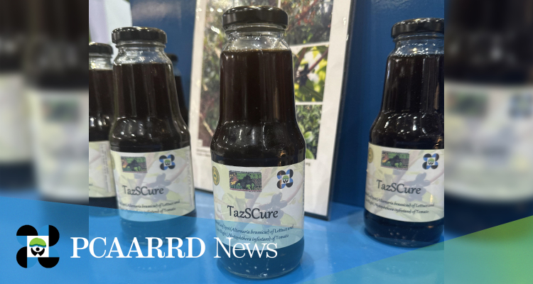 TazSCure: A natural, environment-friendly fungicide for vegetables